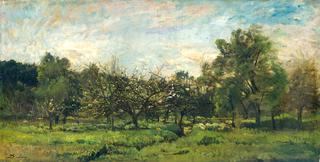 Orchard Landscape