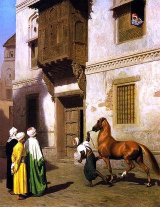 开罗的马商