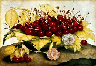 Still-life with Cherries