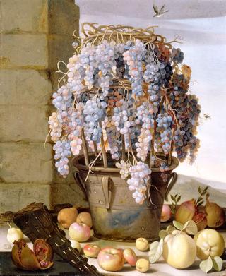 葡萄和其他水果的静物画
