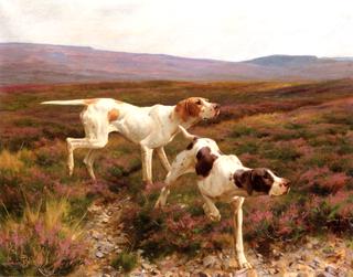 English Pointers in a Landscape