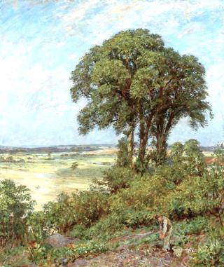 Landscape in Sussex