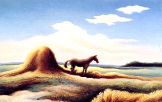 The Lonely Horse