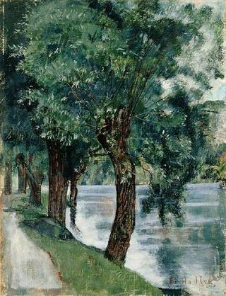 罗纳河上的柳树