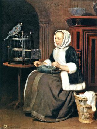 缝纫的女人，带着鹦鹉