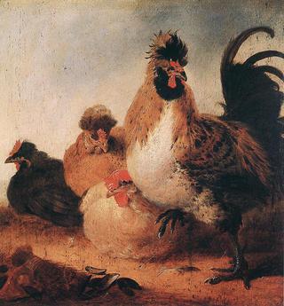 Rooster with Hens