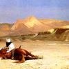 沙漠中的阿拉伯人和他的马