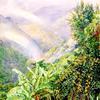 牙买加艺术家之家双彩虹景观