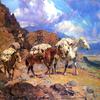 Pack Horses from Rim Rock Ranch