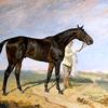 “Columcille”，一匹黑湾赛马，由新郎在风景中牵着