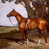 “Benevente”，一匹在风景中骑着马鞍的栗色赛马