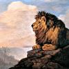 狮子坐着俯瞰岩石海岸