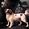 查尔斯·佩勒姆·安德森的柠檬白水猎犬