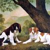 “Jock”和“Shoot”，是菲茨威廉伯爵的两只猎犬