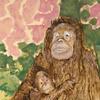 黑猩猩和婴儿