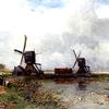 荷兰圩区的风车