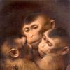 三只猴子