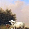 风景中的绵羊和家禽