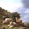 海边休息的绵羊和羔羊
