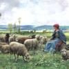 牧羊女和绵羊