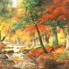 秋季河流景观