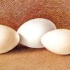 三个鸡蛋