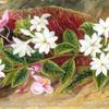 婆罗洲的茉莉花和粉红色秋海棠