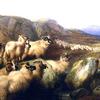 在格兰平山上聚集羊群