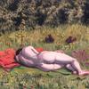 裸体躺在田野里