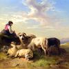 牧羊女和羊群