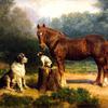 风景中的马和两只狗