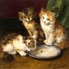 三只小猫和一碟牛奶