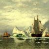 北极捕鲸船在冰山间返航