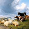 牛羊景观