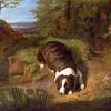 伊斯特哈兹伯爵的猎狗，躺在小溪边