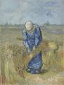 资源缩略图
