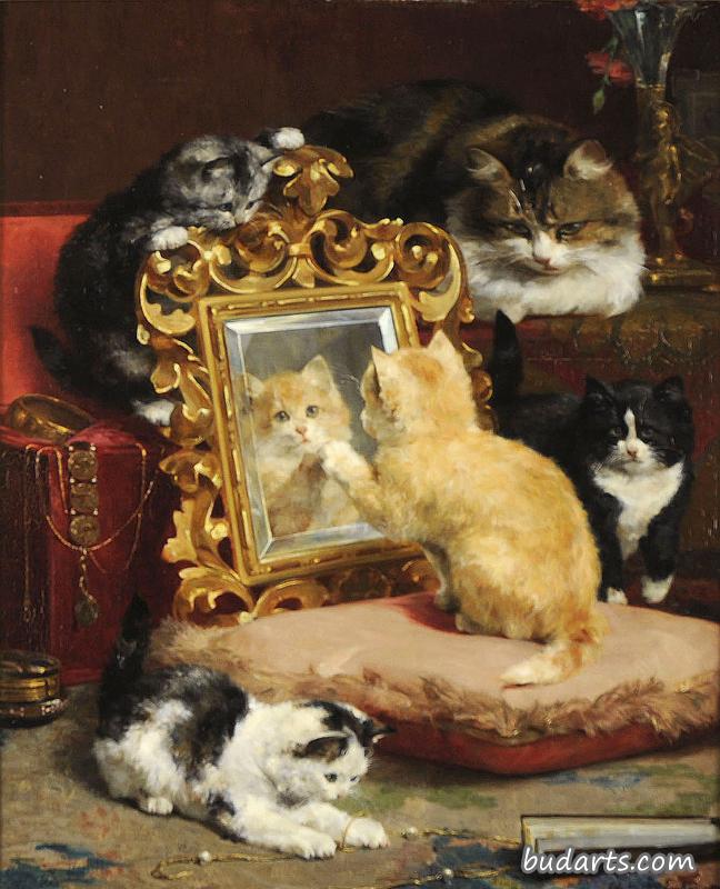 猫在玩耍