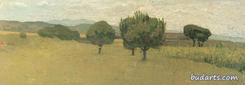 Landscape at Castiglioncello