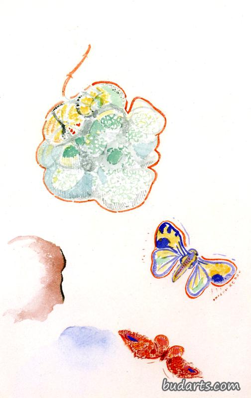 花卉蝴蝶和侧影