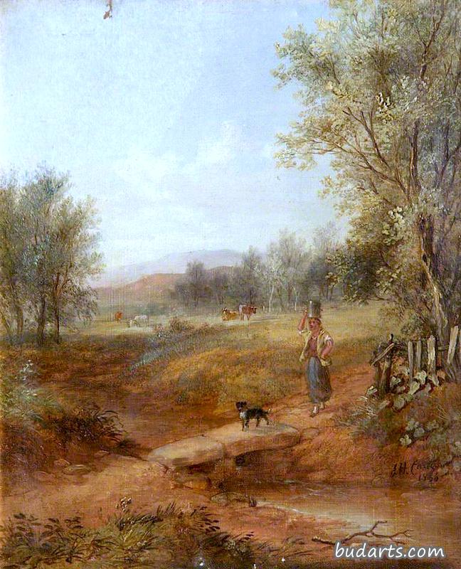 Medlock Vale in 1866, Oldham, Lancashire