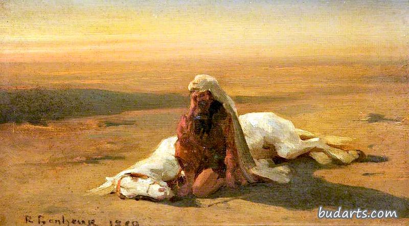 阿拉伯人和一匹死马