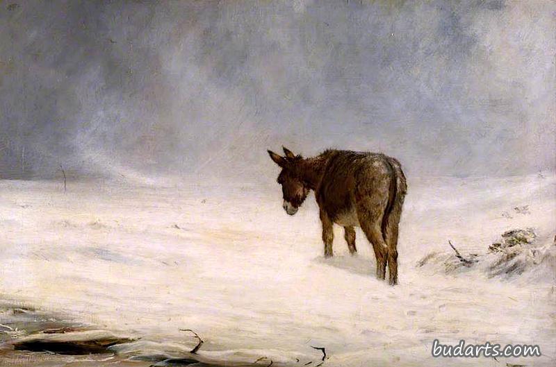 雪地里的驴子