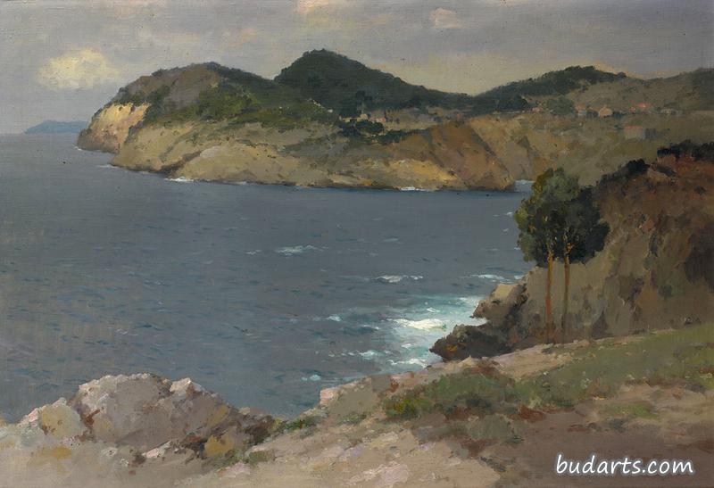 海岸风景