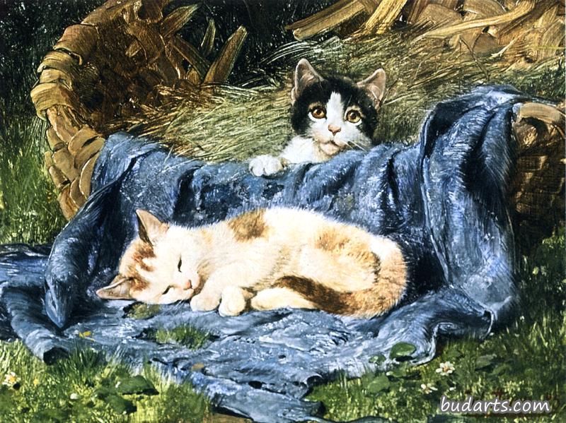 两只小猫