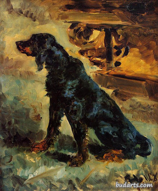 Dun, a Gordon Setter Belonging to Comte Alphonse de Toulouse-Lautrec