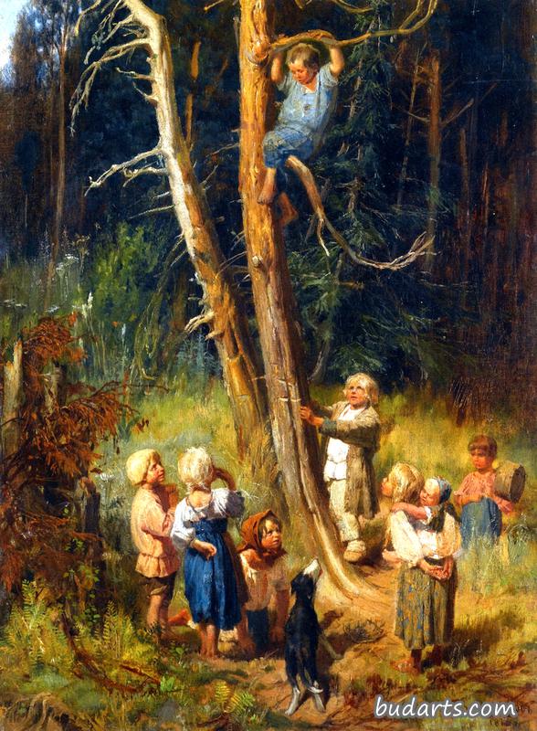 孩子们在森林里偷猎巢穴