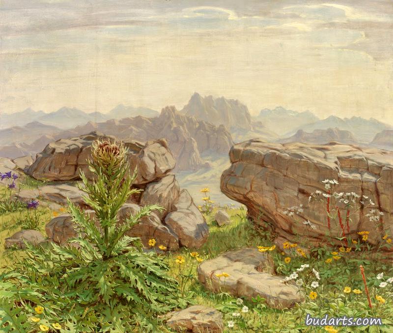 山地景观