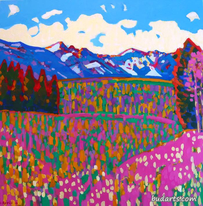 高山花卉