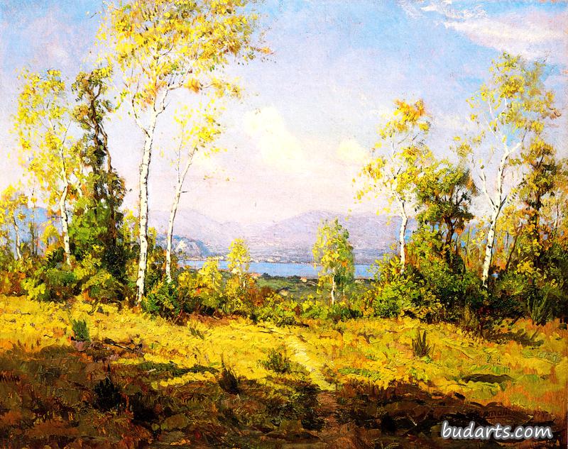 Lake Maggiore in Oleggio Castello