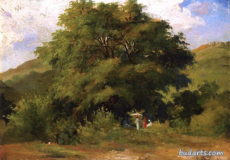 一棵大树下的女性风景，圣托马斯